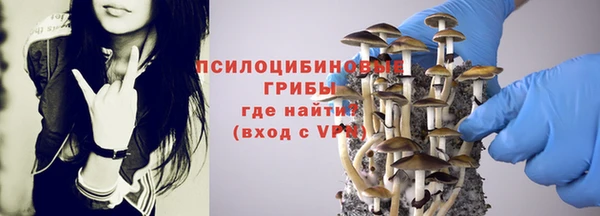 2c-b Вяземский
