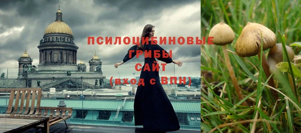 2c-b Вяземский