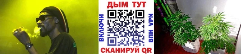 Каннабис тримм  Купить где  Сусуман 